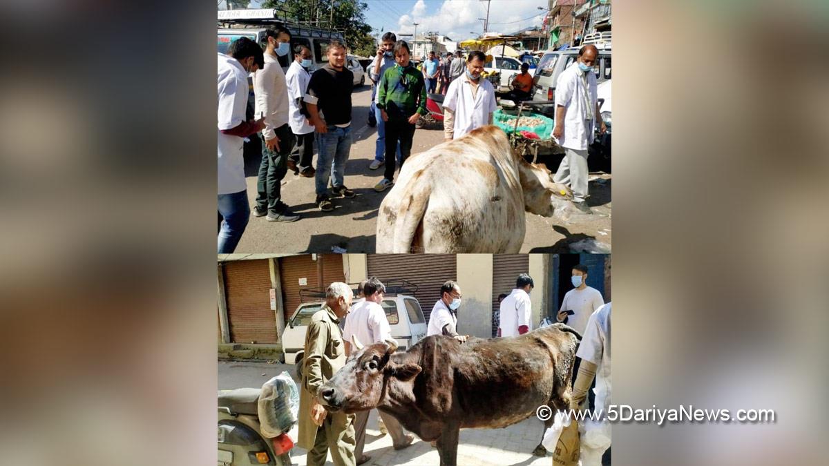 Kishtwar, Dr. Sanjay Kumar Sen, Animals Husbandry Department, AHD, Chief Animal Husbandry Officer, Jammu And Kashmir, Jammu & Kashmir, Lumpy Skin Vaccination