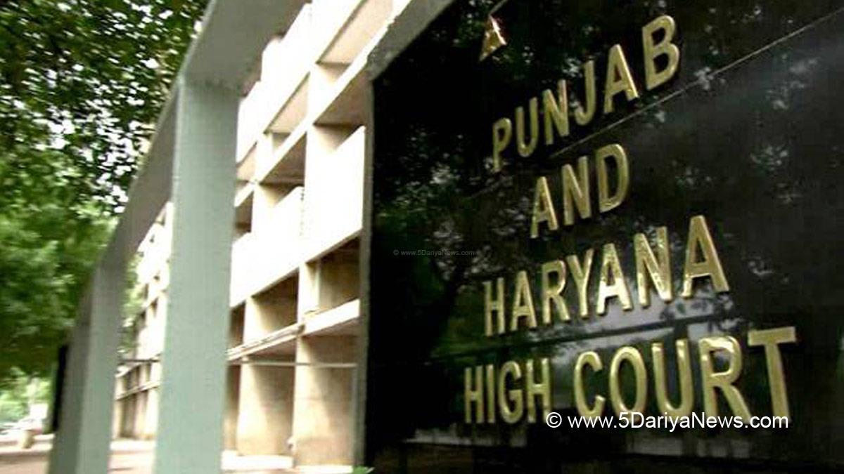 Punjab News, Punjab, High Court, Punjab & Haryana High Court, Petition Against Ram Rahim Parole, Ram Rahim Parole, Ram Rahim, Dera Sacha Sauda, Gurmeet Ram Rahim, Dera Sacha Sauda Chief, Ram Rahim News, Ram Rahim News Today