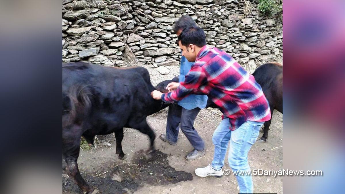 Ramban, Animal Husbandry Department, Lumpy Skin Disease, Dr Bharat Bhushan, Jammu And Kashmir, Jammu & Kashmir