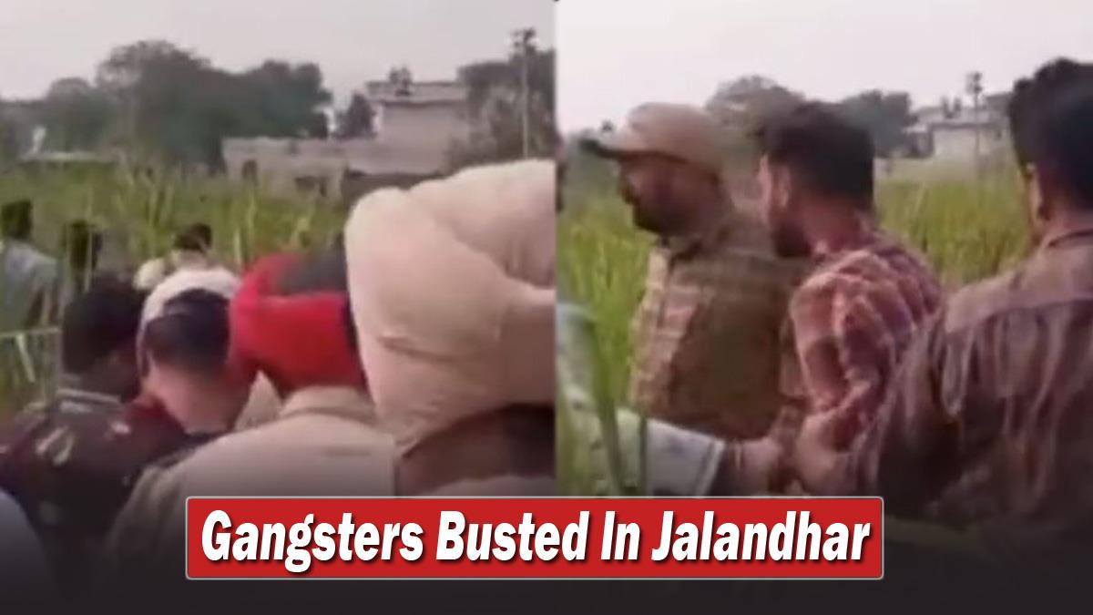 Crime News, Crime News Punjab, Gangsters Arrested Jalandhar, Jalandhar Gangster Arrested, Gangster Arrested, Chak Jhandu Village, Chak Jhandu Village News, Gangster Arrested News Jalandhar, Sarabjit Singh Bahia