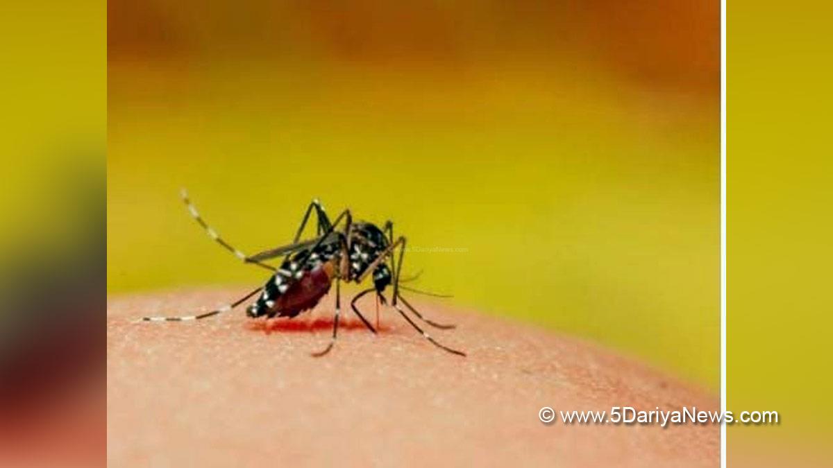 Health, Uttar Pradesh, Lucknow, Dengue, Dengue Cases, New Dengue Cases