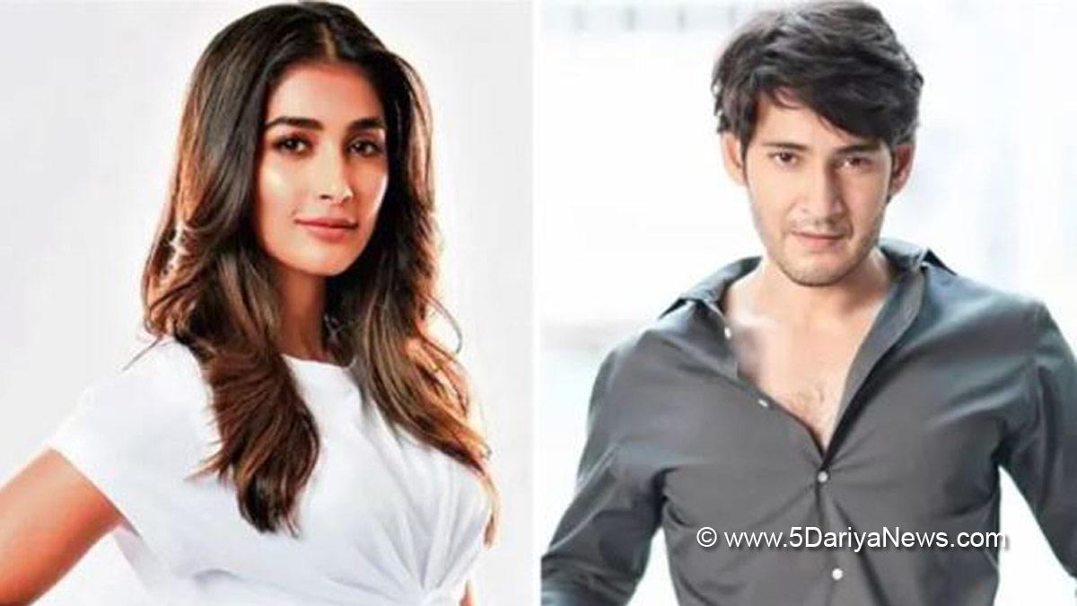 Tollywood, Tollywood News, Mahesh Babu, Pooja Hedge, Mahesh Babu Pooja Hedge Movies, Mahesh Babu Pooja Hedge Movies, Mahesh Babu Pooja Hedge Upcoming Movies, Mahesh Babu Upcoming Movies, Upcoming Movies New Movie, Pooja Hedge Upcoming Movies, Pooja Hedge New Movies