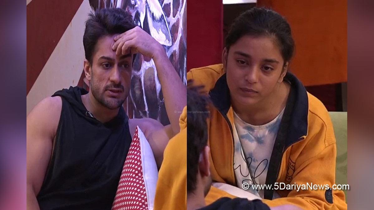 Bigg Boss, Bigg Boss 16, Shalin Bhanot, Tina Datta, Sumbul Touqeer, TV, Television, Entertainment, Mumbai, Actor, Actress, Mumbai News