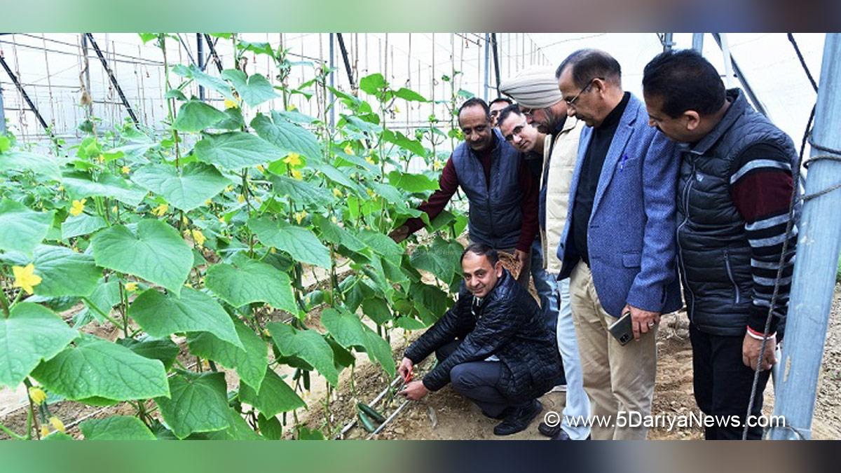 Jammu, K.K. Sharma, Director Agriculture Production & Farmer Welfare Jammu, Jammu And Kashmir, Jammu & Kashmir, Naturally Ventilated Polygreen House, NVPGH