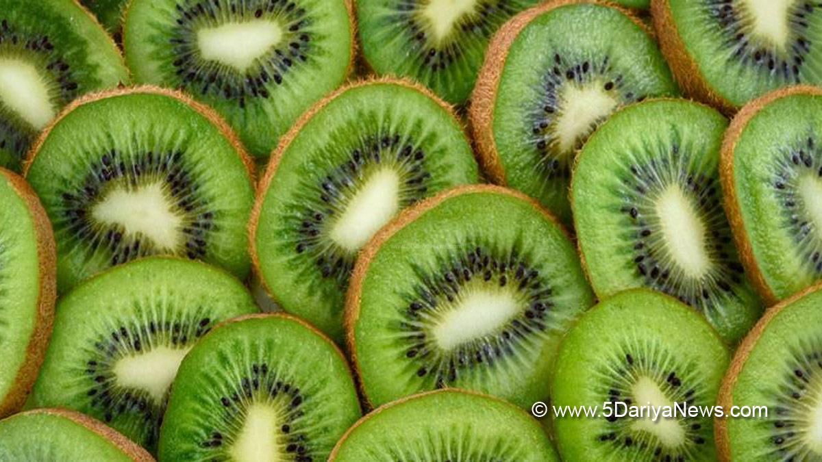 Food, Health, Dengue, Food To Eat In Dengue, Dengue Foods, Dengue Cures