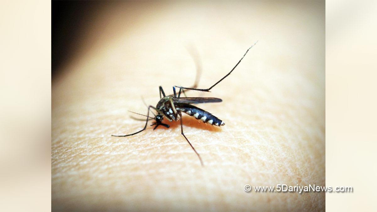 Health, Australia, New South Wales, NSW, Japanese Encephalitis