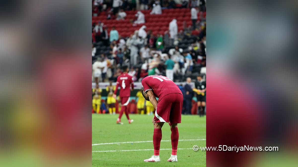 Sports News, Football, Doha, FIFA World Cup in Qatar, FIFA World Cup 2022, FIFA World Cup 2022 Schedule, FIFA World Cup Results, Qatar World Cup, Qatar World Cup 2022, FIFA World Cup Qatar, FIFA World Cup Qatar 2022, Netherlands, Ecuador