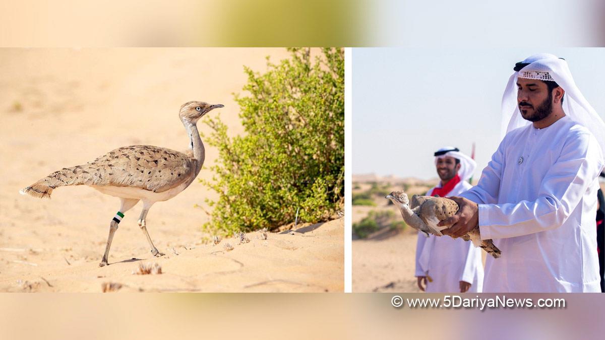 Sheikh Zayed Festival, Abu Dhabi, United Arab Emirates, UAE’s 51st National Day, International Fund for Houbara Conservation, Mohamed bin Zayed Falconry