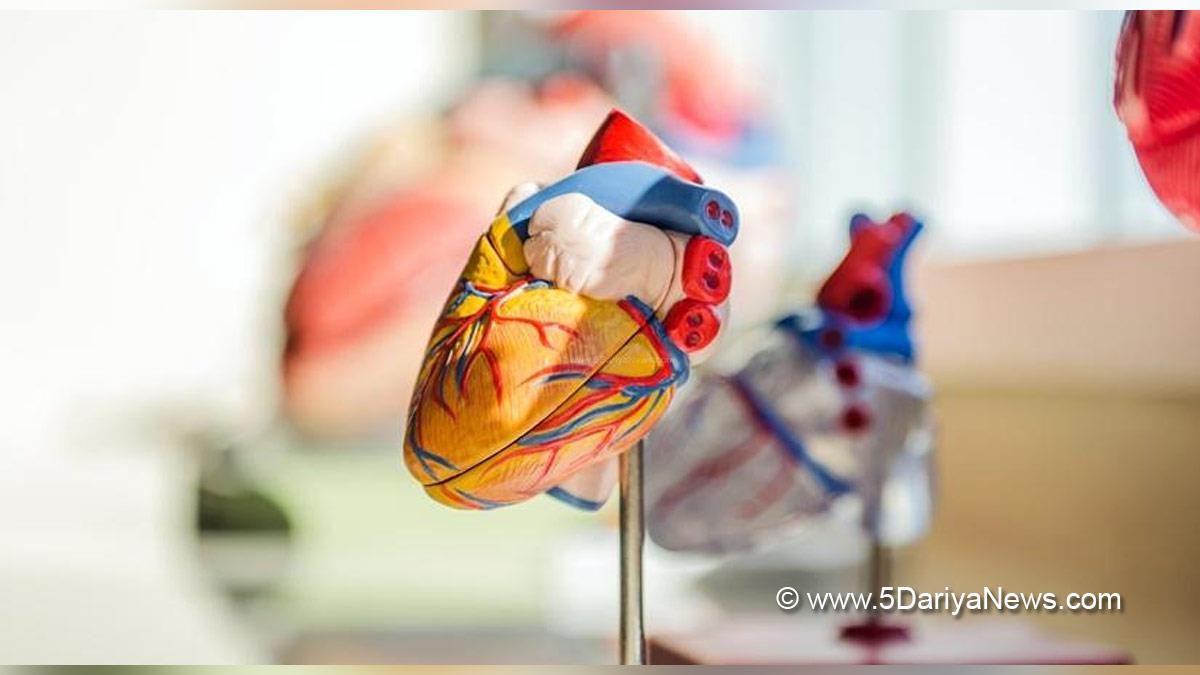 Health, Study, New Delhi, Research, Researchers, Heart Disease, European Society of Cardiology, ESC