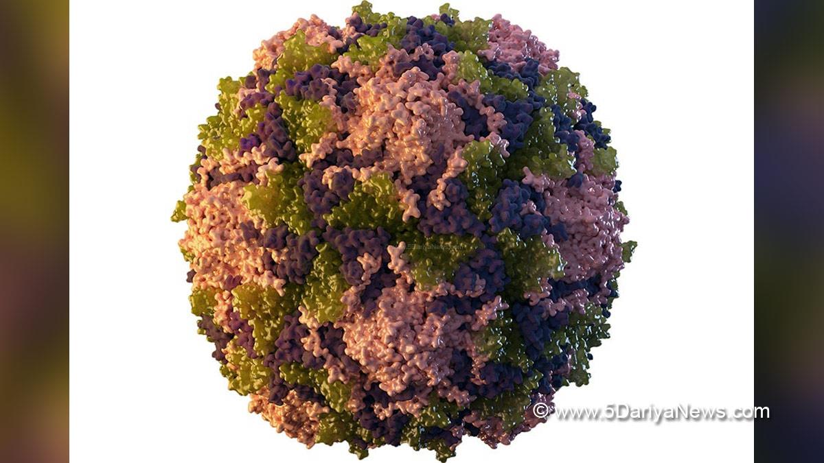 Health, Study, Sweden, Research, Researchers, World News, Respiratory Syncytial Virus, RSV