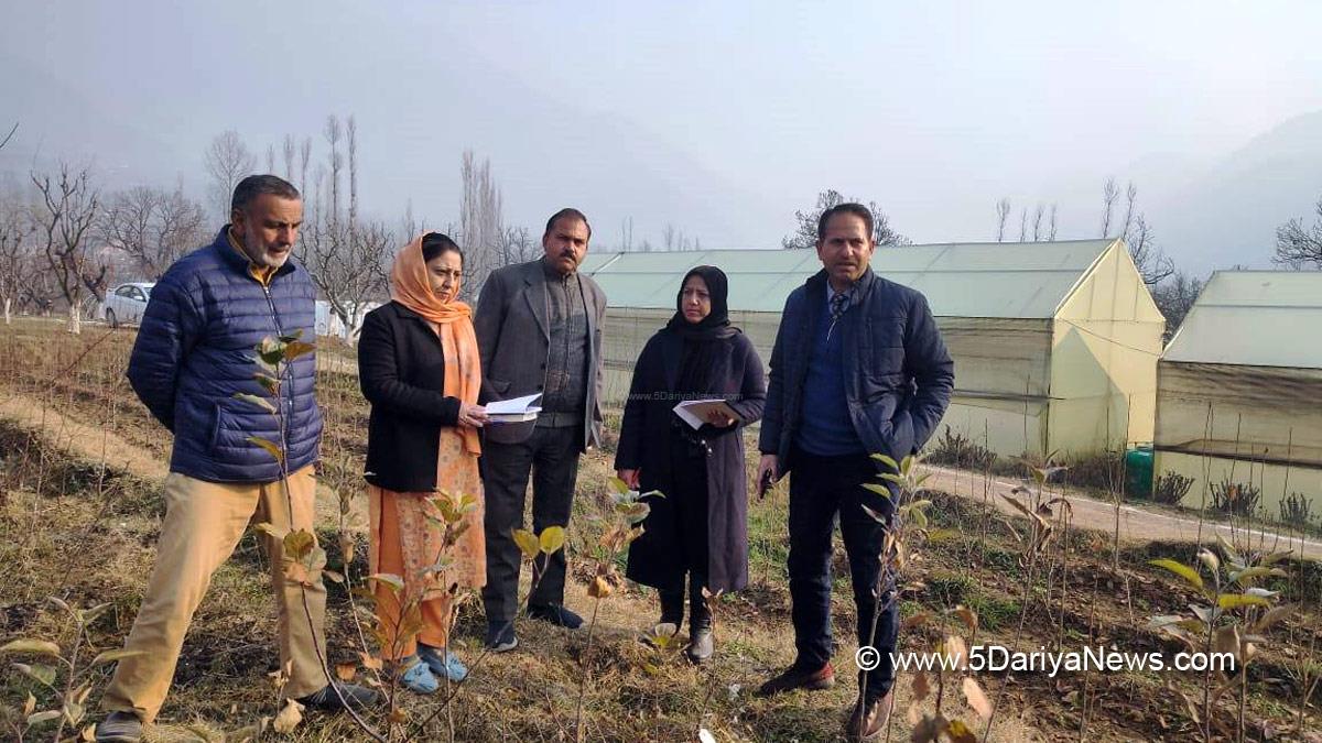 Srinagar, Director Horticulture Kashmir, G.R. Mir, Fruit Plant Nursery Zakura & Harwan, Jammu And Kashmir, Jammu & Kashmir