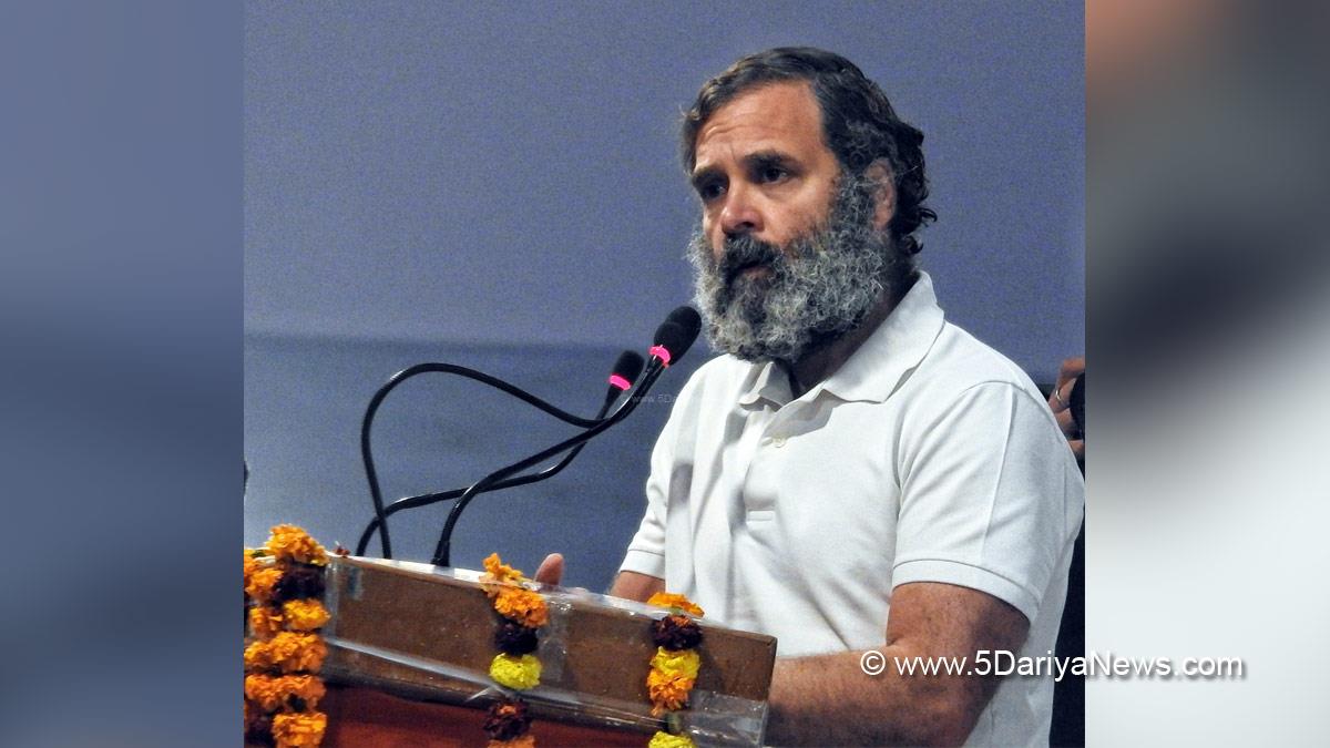 Rahul Gandhi, Indian National Congress, Congress, All India Congress Committee