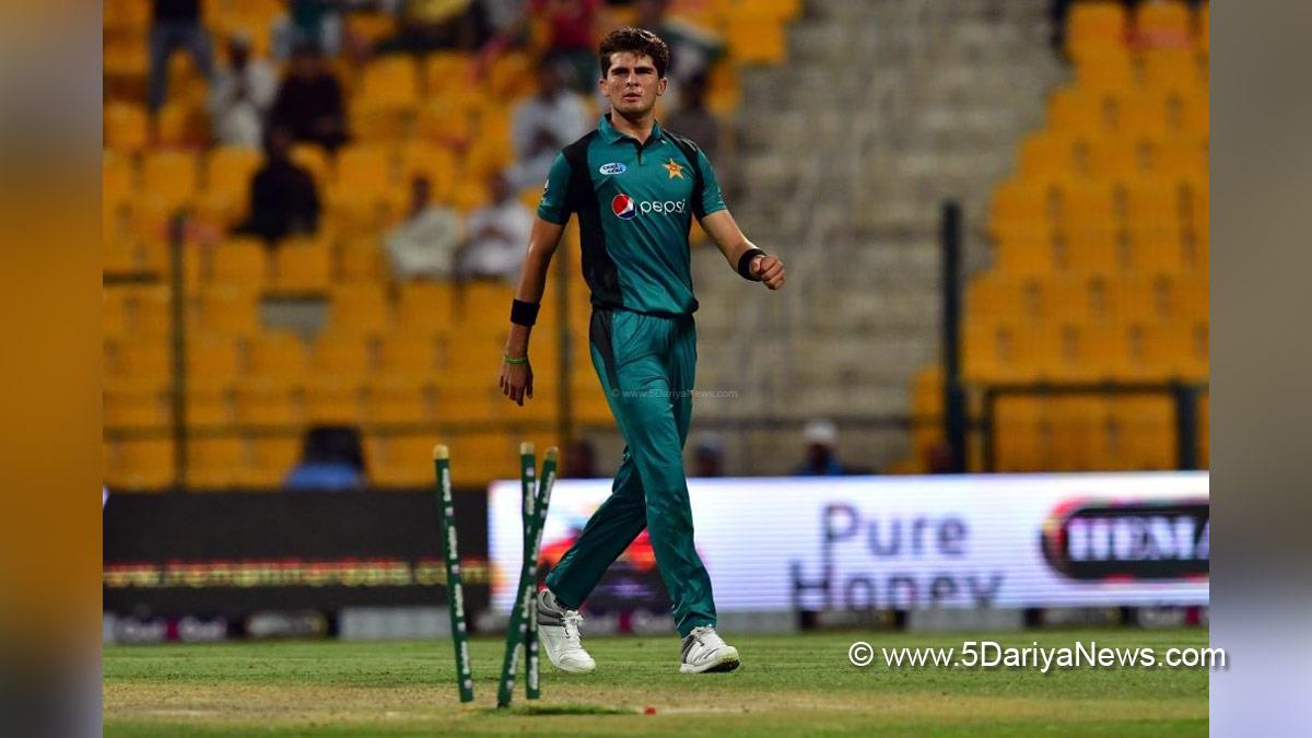 Sports News, Cricket, Cricketer, Player, Bowler, Batsman, Pakistan Cricket Board, PCB, Shaheen Shah Afridi