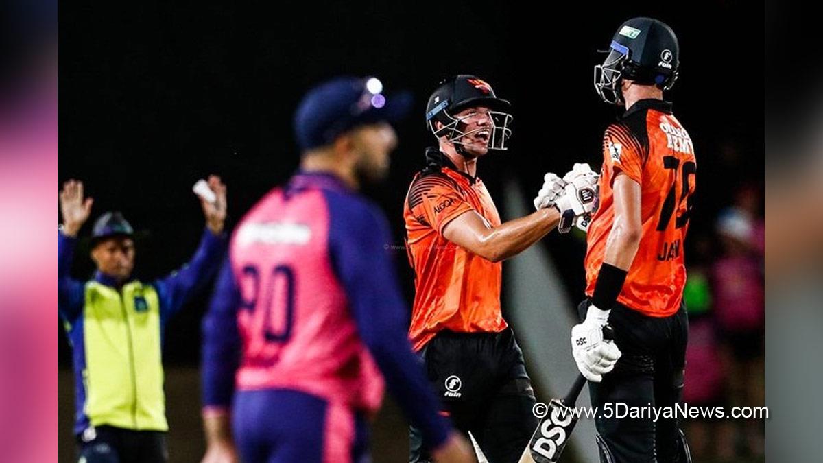 Sports News, Cricket, Cricketer, Player, Bowler, Batsman, Sunrisers Eastern Cape, Paarl Royals, SA20, SA20 League