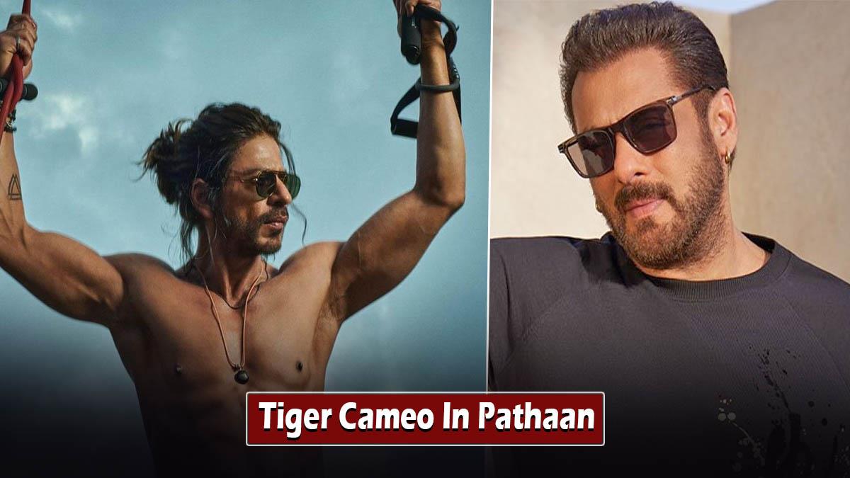 Bollywood, Pathaan,Pathaan Review, Pathaan Reviews, Shahrukh Khan, Deepika Padukone, John Abraham, Pathaan Pre Release Collection, Shahrukh Salman, Shahrukh Khan Salman Khan, Salman Khan, Salman Khan Pathaan, Salman Khan Cameo Pathaan, Salman Cameo Pathaan, Salman Khan Cameo, Shahrukh Salman Pathaan