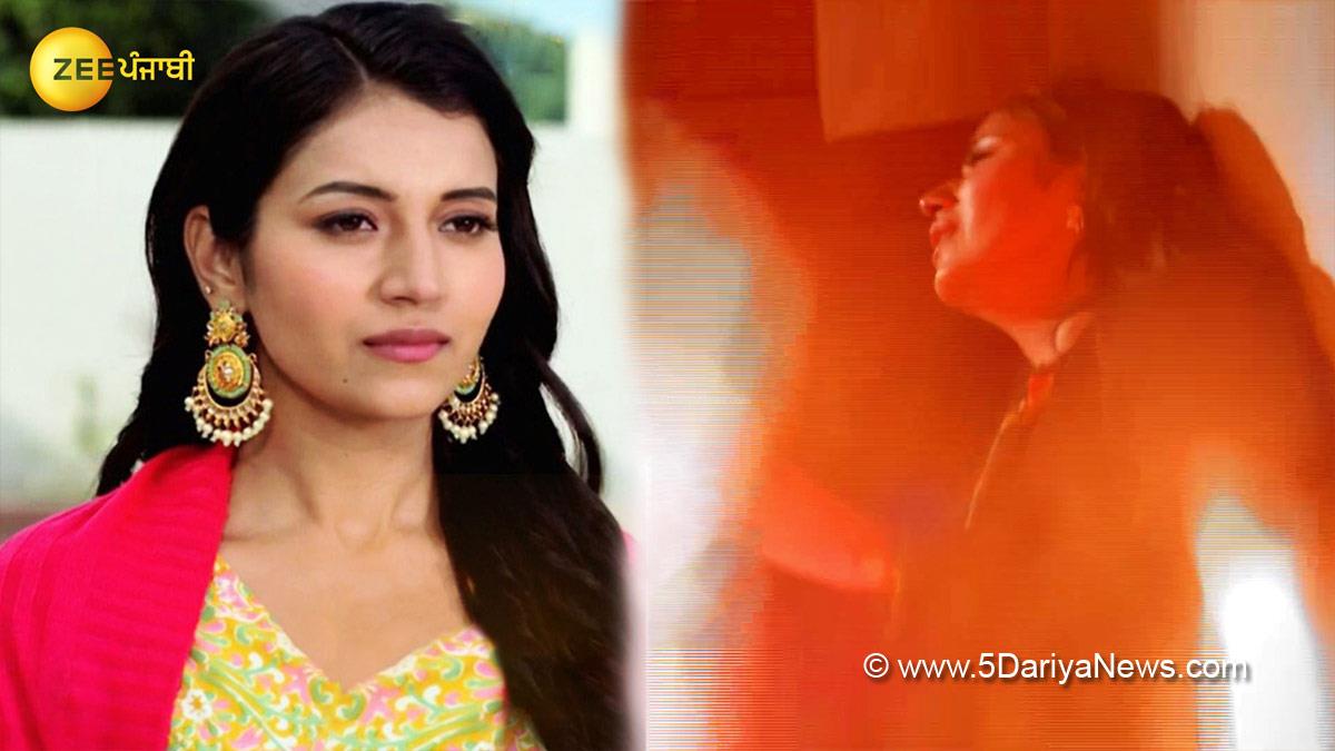 TV, Television, Entertainment, Mumbai, Actor, Actress, Mumbai News, Dildariyan, Zee Punjabi