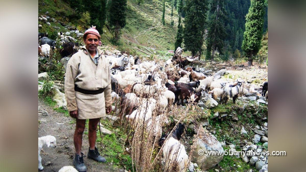Himachal Pradesh, Himachal, Kangra