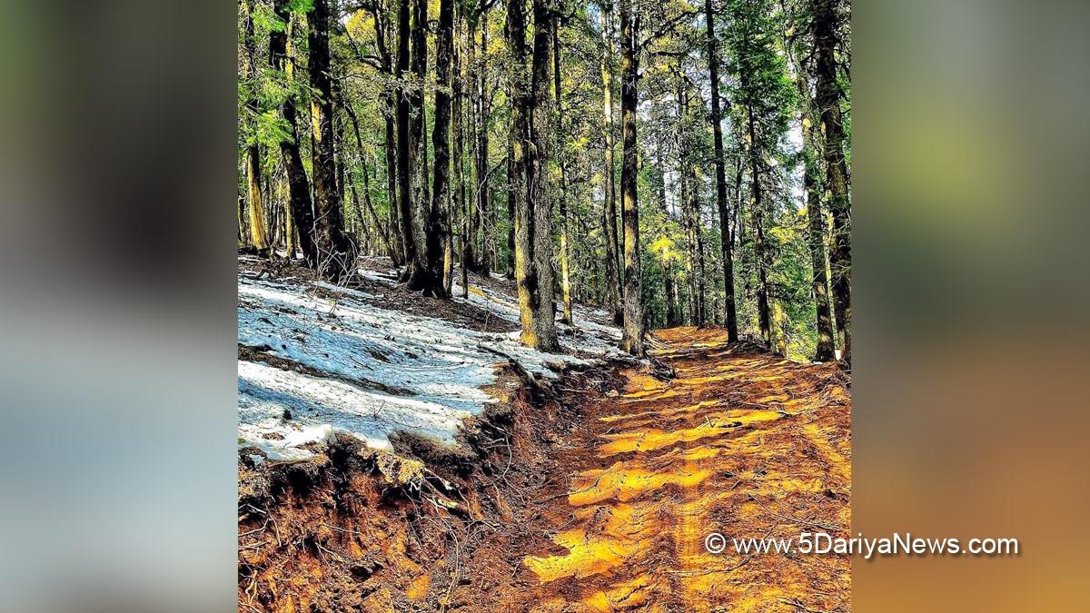 Feature, Himachal Pradesh, Himachal, Lag valley, Kais Dhar, Kansdhar
