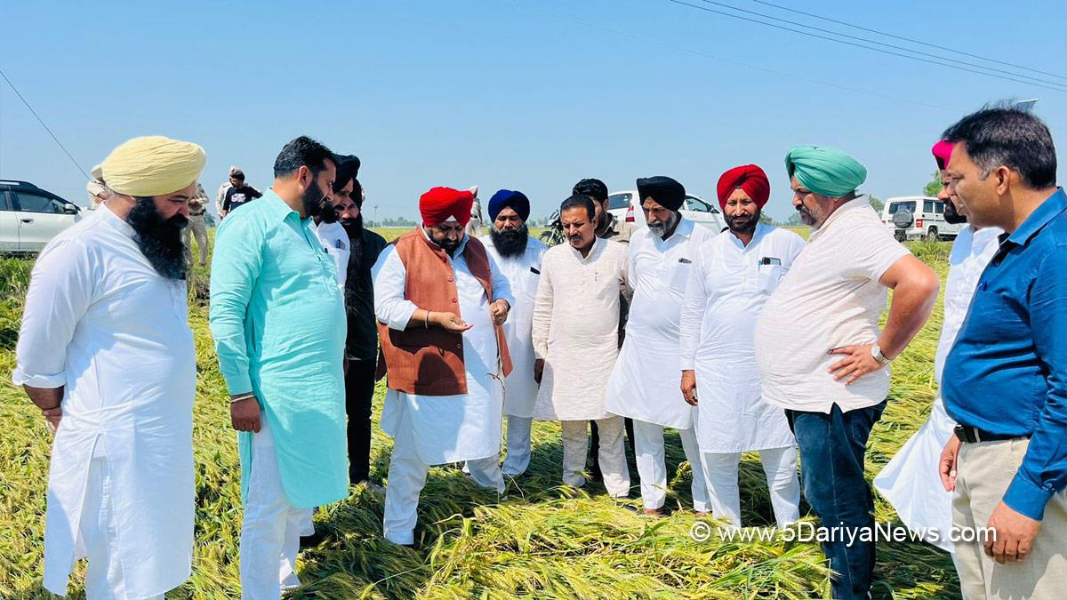 Ranbir Singh Bhullar, Ferozepur, AAP, Aam Aadmi Party, Aam Aadmi Party Punjab, AAP Punjab