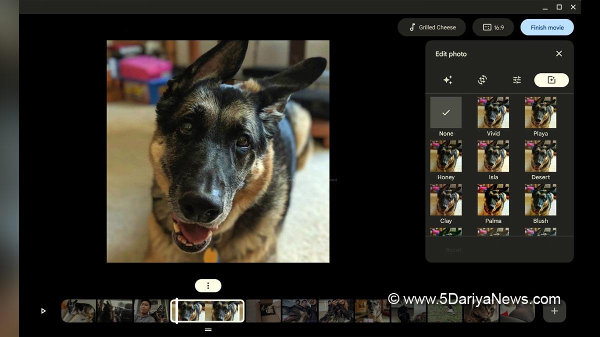 Google, San Francisco, World News, Sundar Pichai, Google Photos