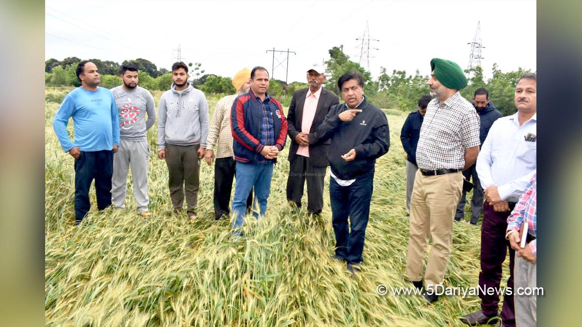 Bram Shanker Jimpa, AAP, Aam Aadmi Party, Aam Aadmi Party Punjab, AAP Punjab, Government of Punjab, Punjab Government, Hoshiarpur 