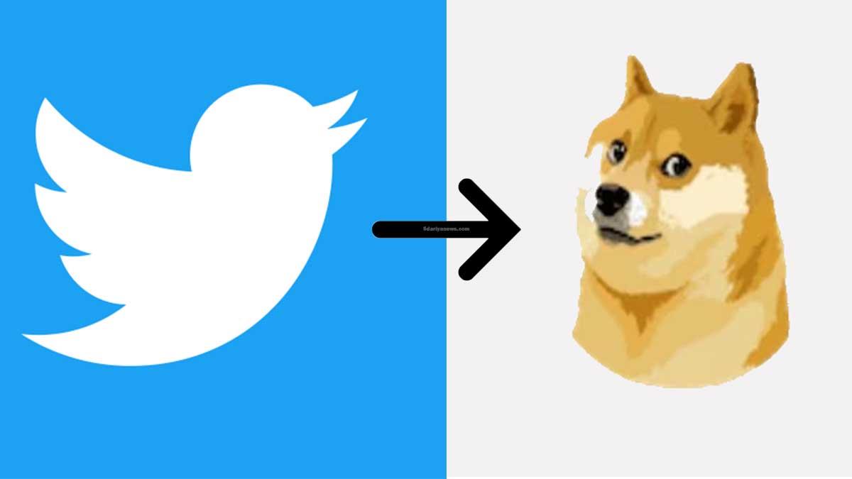 Social Media, Twitter, Twitter News, Twitter Latest News, Twitter Today News, Twitter Logo News, Twitter Logo Changed, Twitter New Logo, Twitter Logo, Twitter Doge Logo, Twitter Blue Bird Logo Changed, Elon Musk, Doge Logo Twitter, Twitter  Updates, Twitter Latest Updates, Twitter Doge Meme