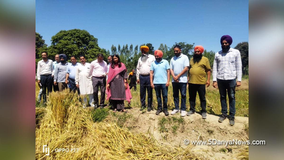 DC Hoshiarpur, Deputy Commissioner Hoshiarpur, Komal Mittal, Hoshiarpur