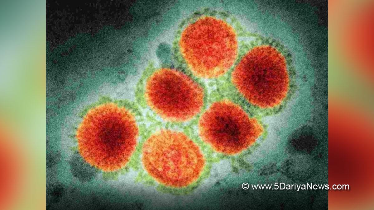 Health, WHO, World Health Organisation, H3N8 Virus, H3N8 Virus Death, H3N8 Virus China, H3N8 Virus Death China, H3N8 Virus First Death, H3N8 Virus Symptoms, H3N8 Virus Cures, H3N8 Virus Medicine, H3N8 Virus Vaccine