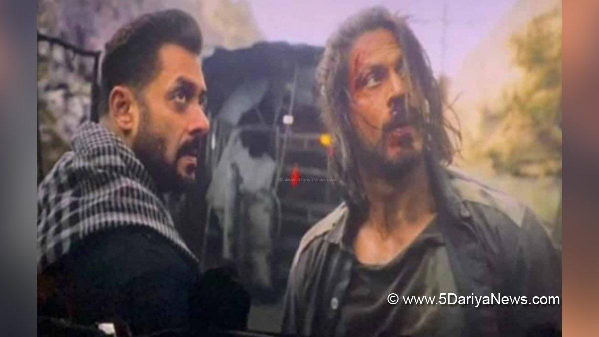 Bollywood, Entertainment, Mumbai, Actress, Cinema, Hindi Films, Movie, Mumbai News, Heroine, Salman Khan, Shah Rukh Khan, Tiger, Tiger 3, Upcoming Movie Tiger 3