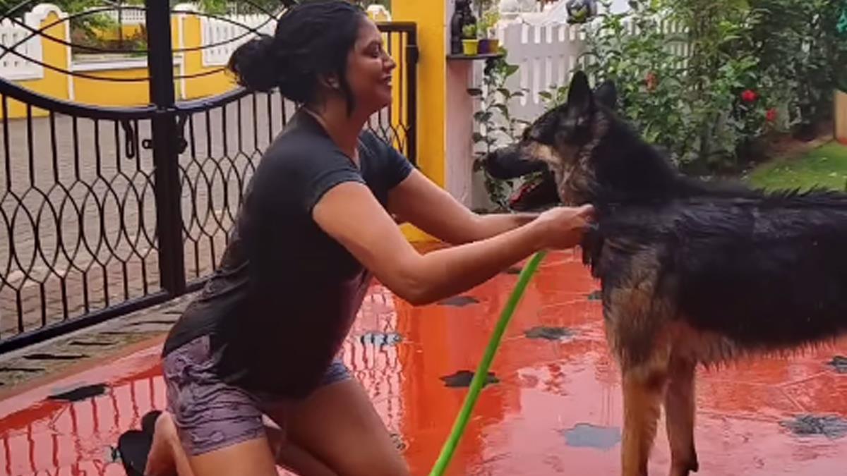 Pollywood, Kavita Kaushik, Kavita Kaushik Twitter, Kavita Kaushik Movies, Kavita Kaushik Upcoming Movie, Kavita Kaushik Upcoming Movies, Kavita Kaushik Carry On Jatta, Kavita Kaushik Carry On Jatta 3, Carry On Jatta 3, Carry On Jatta 3 Release Dat, Carry On Jatta 3 Cast, Carry On Jatta 3 Movie, Carry On Jatta 3 Mopvie Release Date