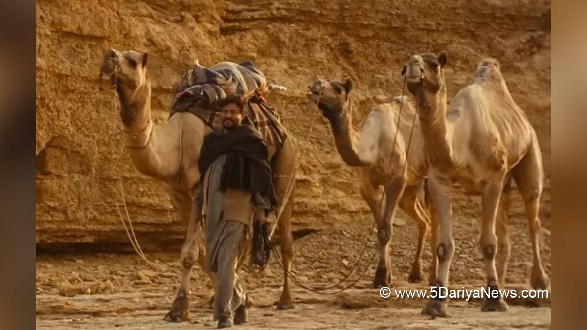 Bollywood, The Song Of Scorpions, Irrfan Khan, Anup Singh, Zeeshan Ahmad, Golshifteh Farahani, Waheeda Rahman, Shashank Arora, The Song Of Scorpions Irrfan Khan, The Song Of Scorpions Release Date, The Song Of Scorpions Cast, The Song Of Scorpions Movie, The Song Of Scorpions Movie Release Date, Irrfan Khan Upcoming Movie, Irrfan Khan Last Movie