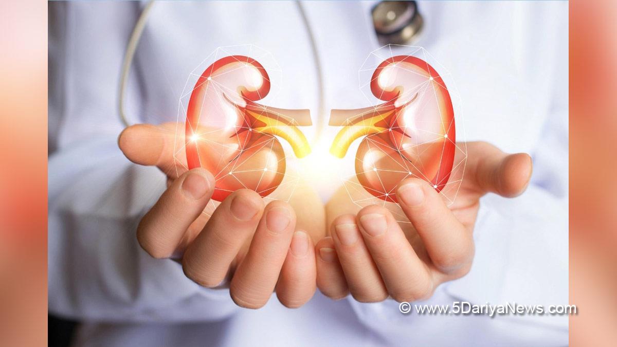 Health, Research, Researchers, Study, Kidney Disease, Kidney Disease Treatment, Garvan Institute of Medical Research, University, Kidney