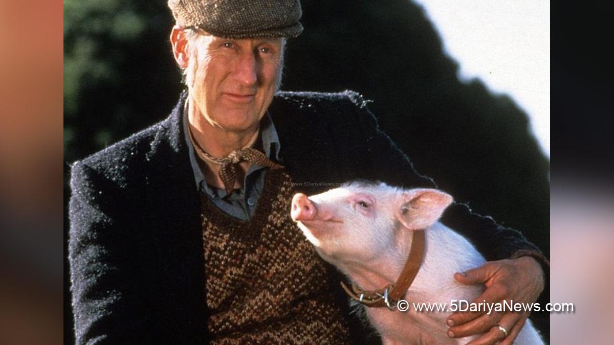 Hollywood, Los Angeles, Actress, Actor, Cinema, Movie, James Cromwell, Babe
