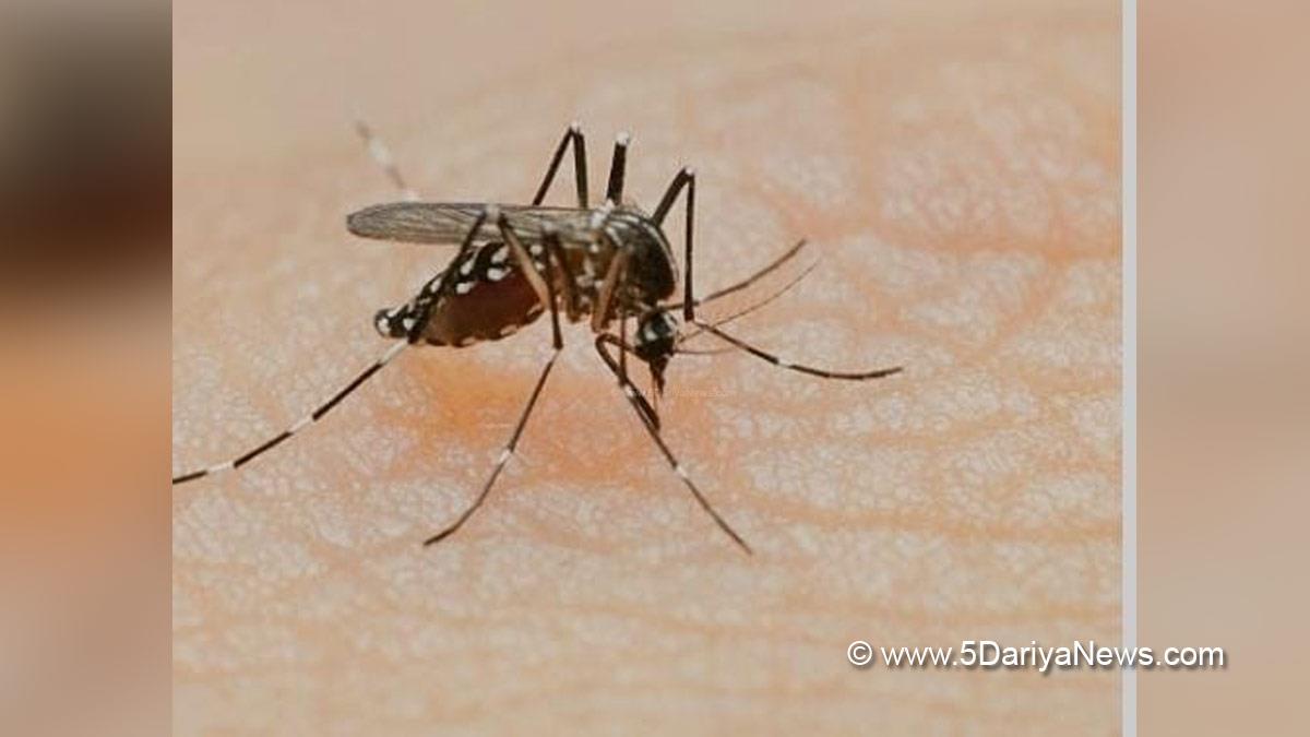 Health, Research, Researches, Study, New Delhi, Dengue Virus, Dengue, Indian Institute of Science, IISc, Dengue Virus Study