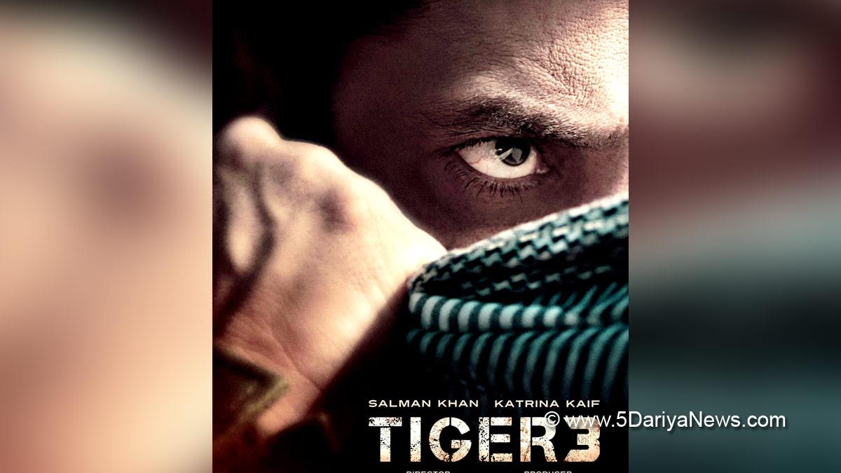 Salman Khan, Bollywood, Entertainment, Mumbai, Actor, Cinema, Hindi Films, Movie, Mumbai News, Shah Rukh Khan, Tiger 3, Tiger 3 Movie, Tiger 3 Update, Tiger 3 Movie Update, Upcoing Movie Tiger 3 