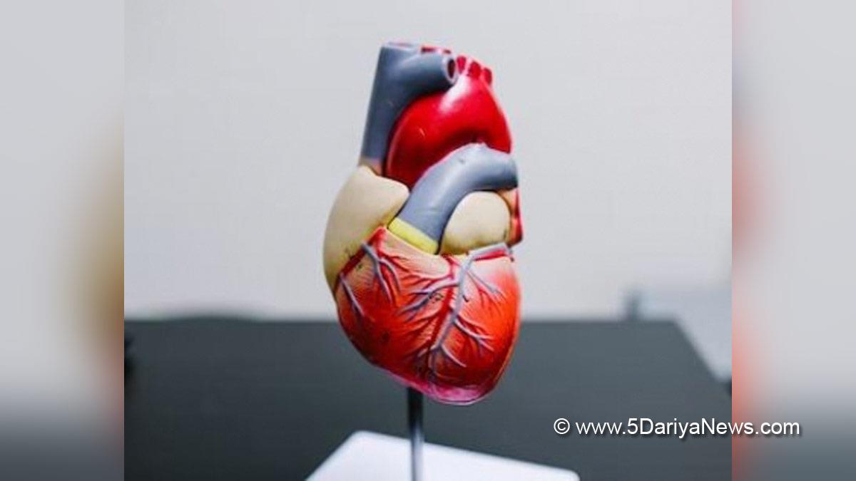 Health, Study, New York, Research, Researchers, World News, Steroid, Steroid Effects, Steroid Effects On Heart, Steroid Heart Effects