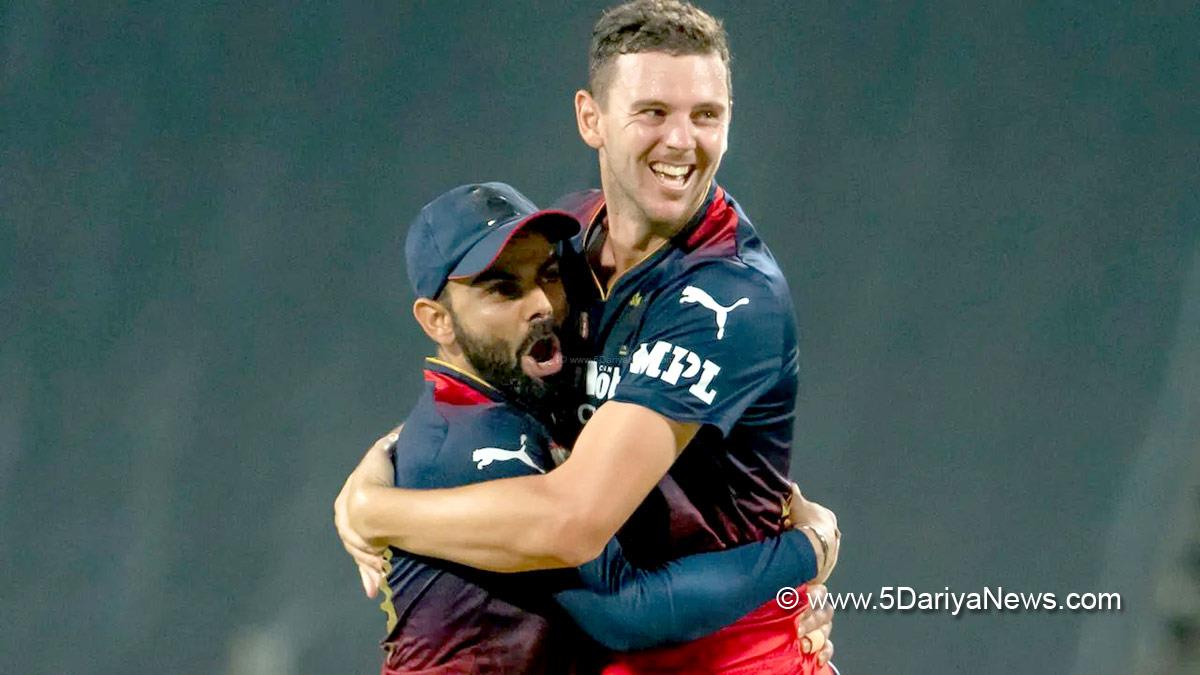 Virat Kohli, Sports News, Cricket, Cricketer, Player, Bowler, Batsman, Indian Premier League, IPL 2023, Josh Hazlewood, World Test Championship Final, Royal Challengers Bangalore, RCB