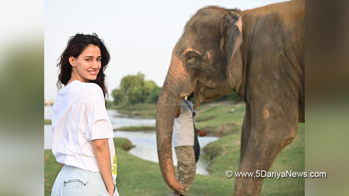 Disha Patani, Bollywood, Entertainment, Mumbai, Actress, Cinema, Hindi Films, Movie, Mumbai News, Elephant Conservation Care Centre, ECCC, World Environment Day