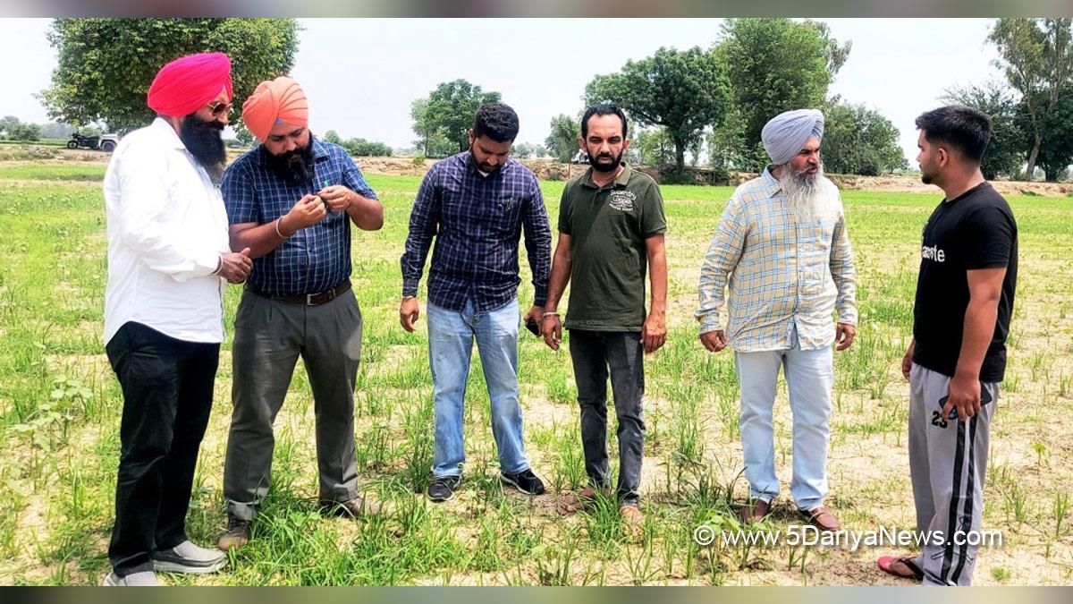 Agriculture, Dr. Karanjit Singh Gill, Chief Agriculture Officer Faridkot, Faridkot