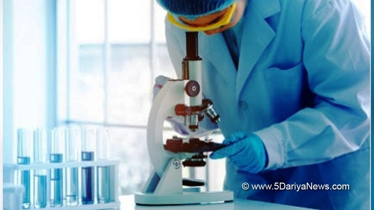 Health, Study, London, Research, Researchers, World News, University of Cambridge, Human Stem Cells, Stem Cell Research, Boston, Dr Jitesh Neupane