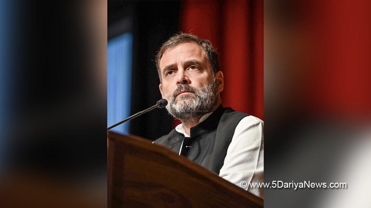 Rahul Gandhi, Indian National Congress, Congress, All India Congress Committee