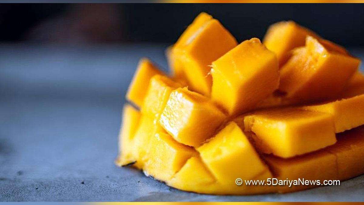 Health, Study, New York, Research, Researchers, World News, Carrots, Lettuce, Tomatoes, Broccoli, Bell Peppers, Mangoes, Papayas, Apricots, Among