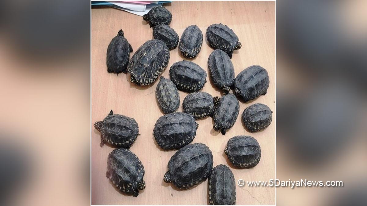 Crime News, Crime News India, Delhi Police, 19 Tortoises, 40 Parrots,  40 Special Species Parrots, Delhi Shastri Park, Gaurav Gupta, Animal Welfare Officer, Deputy Commissioner Police Joy Tirkey, New Delhi