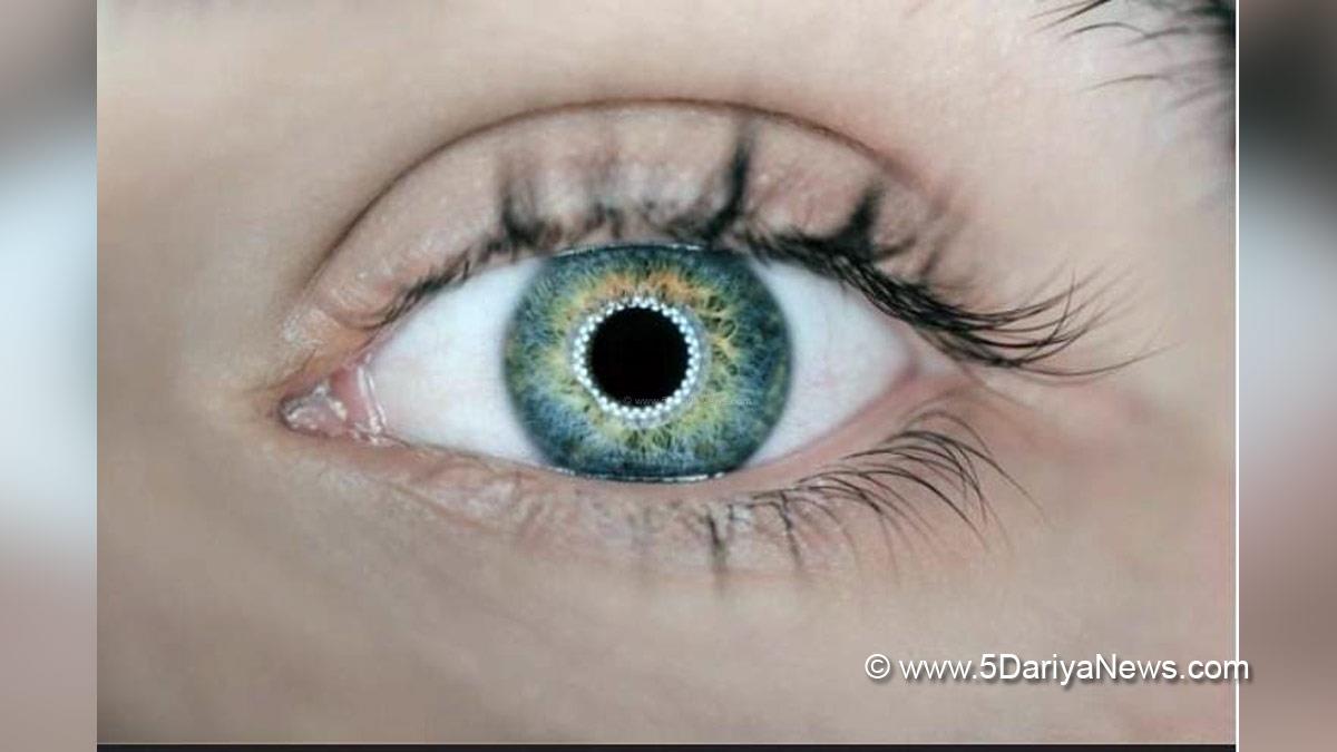 Health, Study, New York, Research, Researchers, World News, Sydney, Australian