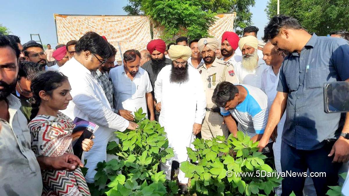 Gurmeet Khudian, Gurmeet Singh Khudian, AAP, Aam Aadmi Party, Aam Aadmi Party Punjab, AAP Punjab, Amandeep Singh Goldy Musafir, Amandeep Singh Goldy, Balluana Fazilka, Abohar