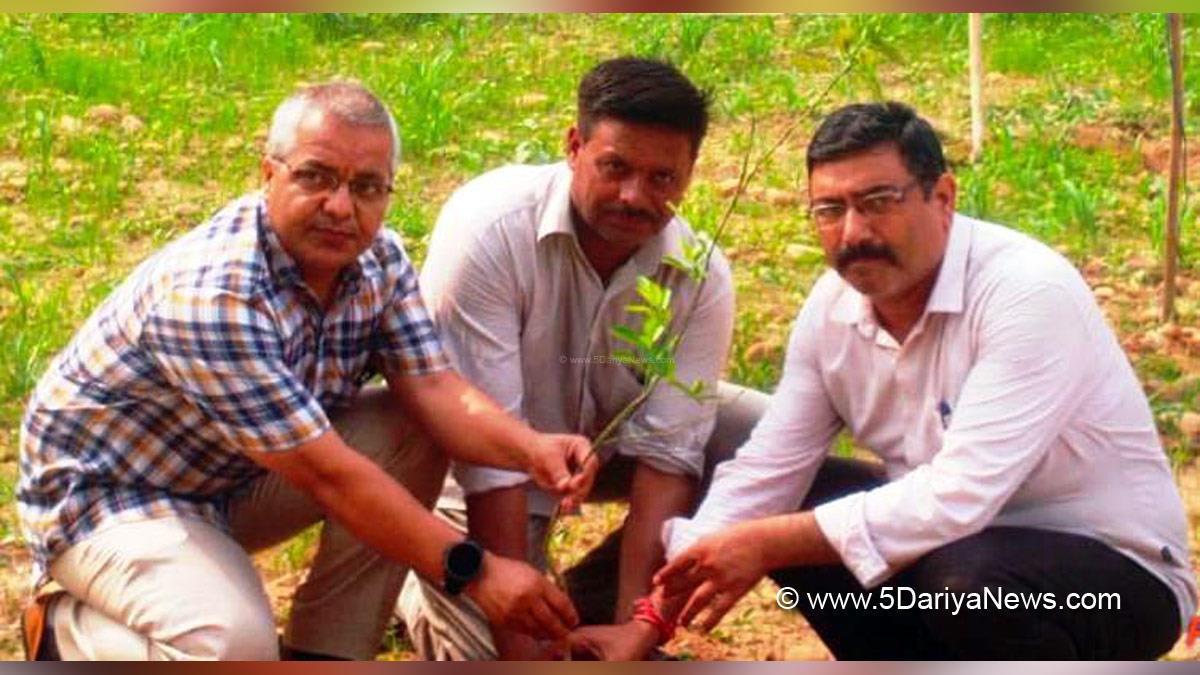 Horticulture, Horticulture Department, Director Horticulture Jammu, Ram Savak, Jammu, Kashmir, Jammu And Kashmir, Jammu & Kashmir