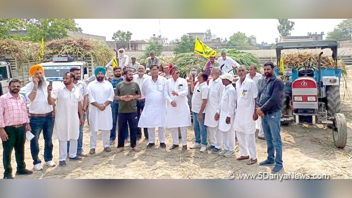 Amandeep Singh Goldy Musafir, Amandeep Singh Goldy, Balluana Fazilka, Narinder Pal Singh Sawna, Fazilka, Abohar, AAP, Aam Aadmi Party, Aam Aadmi Party Punjab, AAP Punjab