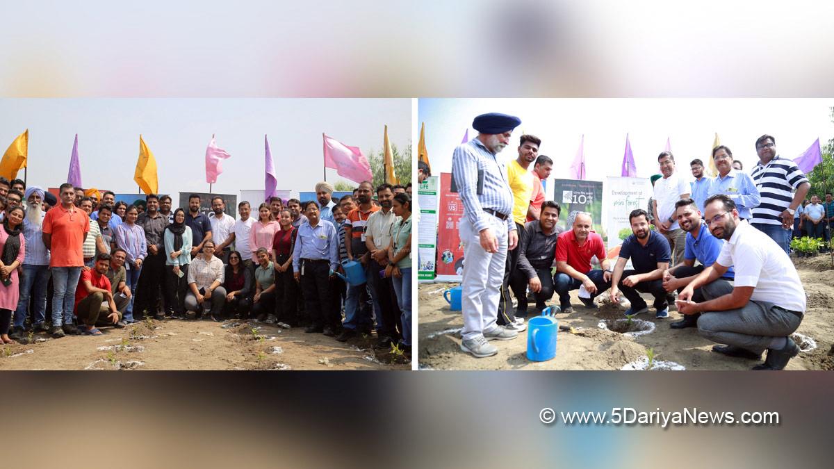 Barnala, Dhaula Landscape, Dhaula, Trident Limited, Rajinder Gupta