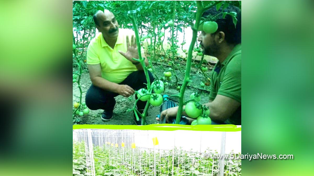 Jammu, DDC Jammu, Ramesh Kumar, Divisional Commissioner Jammu, Kashmir, Jammu And Kashmir, Jammu & Kashmir, District Administration Jammu, Pradhan Mantri Gram Sadak Yojana, PMGSY, Jammu Power Distribution Corporation Limited, JPDCL