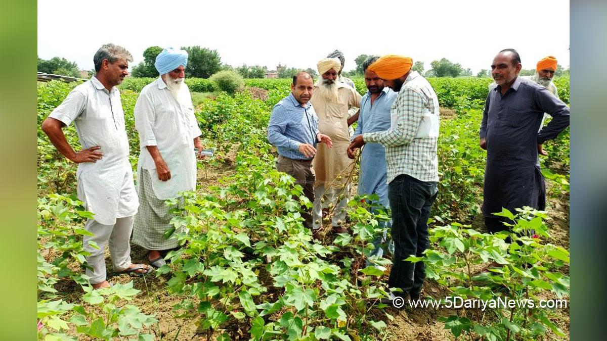 Agriculture, Gurmeet Singh Cheema, Chief Agriculture Officer, Fazilka